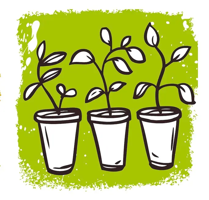  <span class="lte-header lte-h4"> Diversity of plantations </span> 
