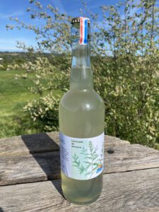 boisson petillante de verveine cocktail sans alcool eau avec limonade fermentee naturelle soda gazeuze maison ferme sinsac