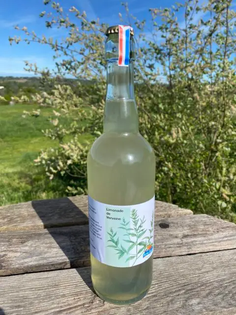 boisson petillante de verveine cocktail sans alcool eau avec limonade fermentee naturelle soda gazeuze maison ferme sinsac