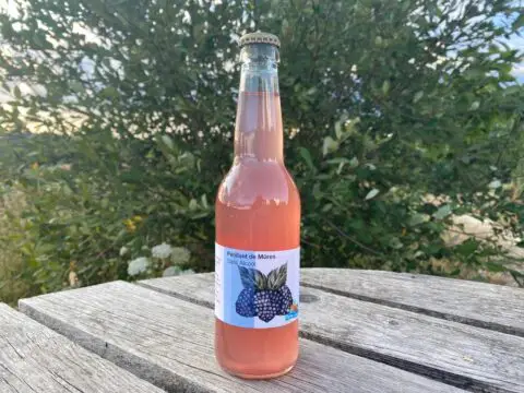 boisson petillante de mures cocktail sans alcool avec limonade fermentee naturelle gazeuze fait maison ferme sinsac