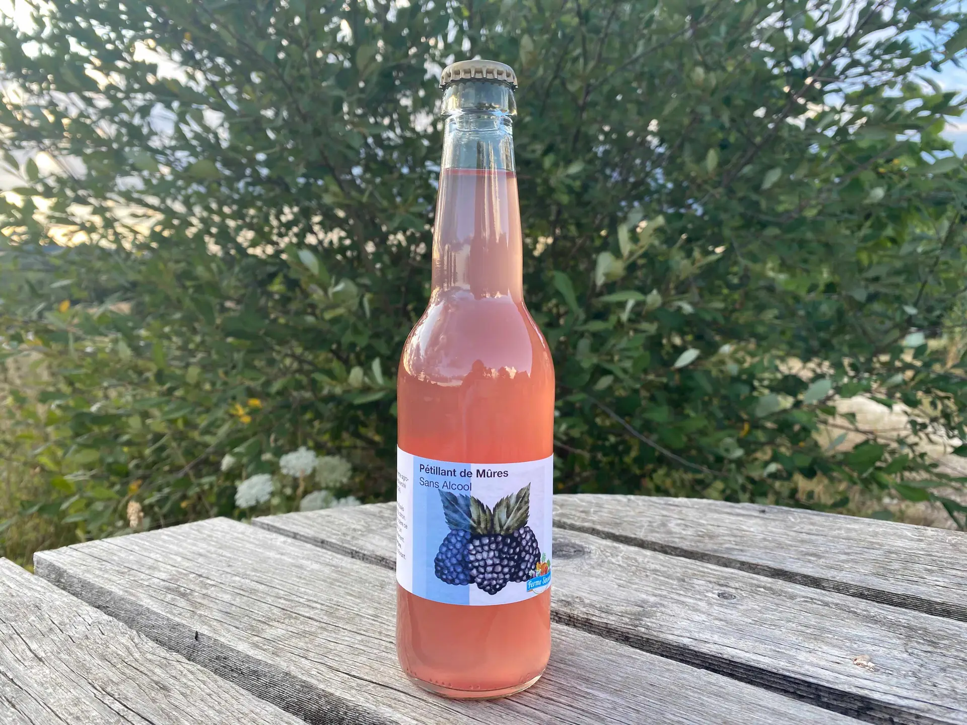 boisson petillante de mures cocktail sans alcool avec limonade fermentee naturelle gazeuze fait maison ferme sinsac