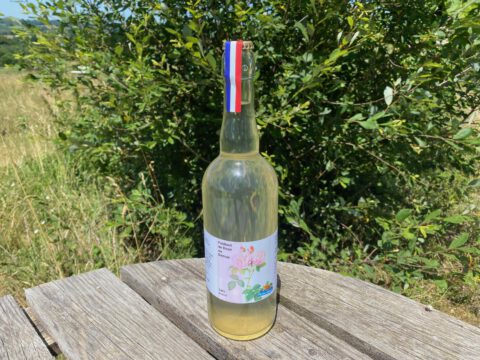 boisson petillant de rose de madas cocktail sans alcool avec limonade gazeuze naturelle soda maison fermente ferme sinsac