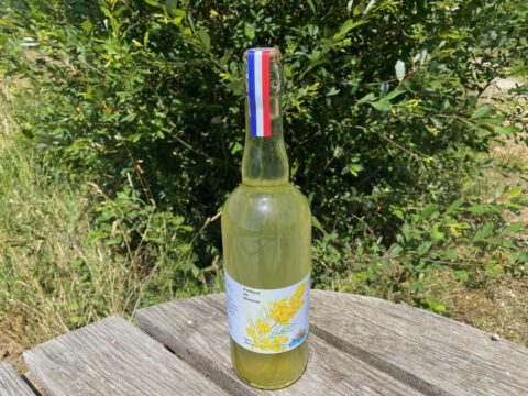 boisson petillante mimosa sans alcool fermentee naturelle maison limonade gazeuze soda