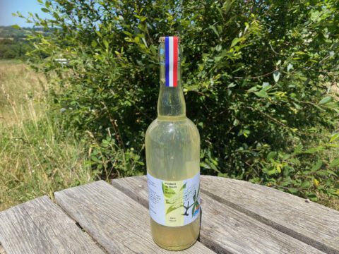 boisson petillante sureau sans alcool limonade naturelle gazeuze maison soda ferme sinsac