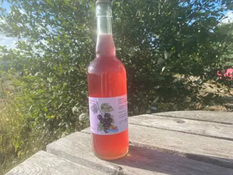 cocktail sans alcool cassis boisson petillante fermentation naturelle soda simple noel meillieur