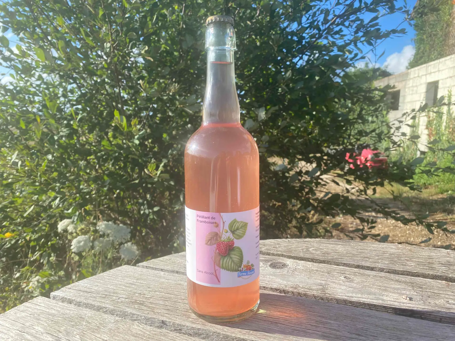 boisson petillante framboise limonade sans alcool soda fermentee gazeuze maison avec ferme sinsac