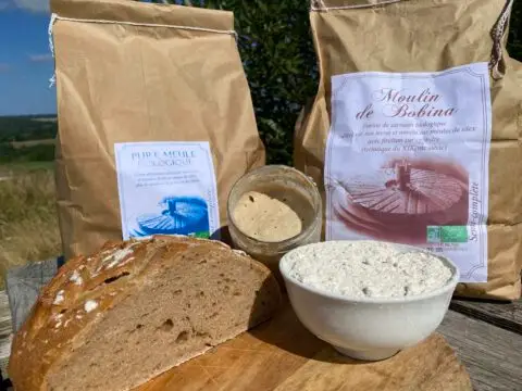 Pan, pasteles y tartas