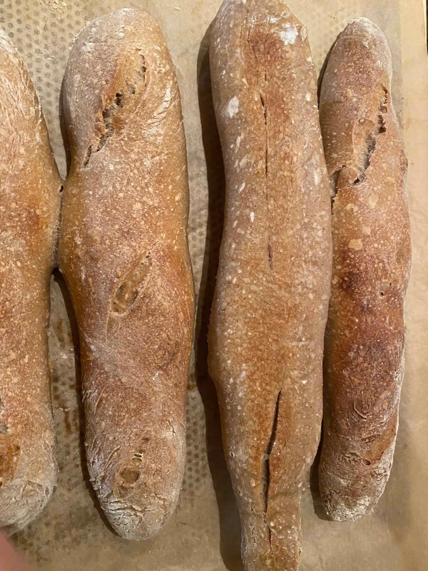 Pain au levain 100% blé en baguette 250 grs (lot de 4)