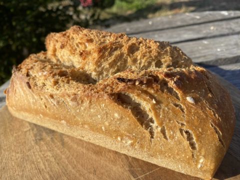 Pain au levain blé et épeautre en moulé 1kg