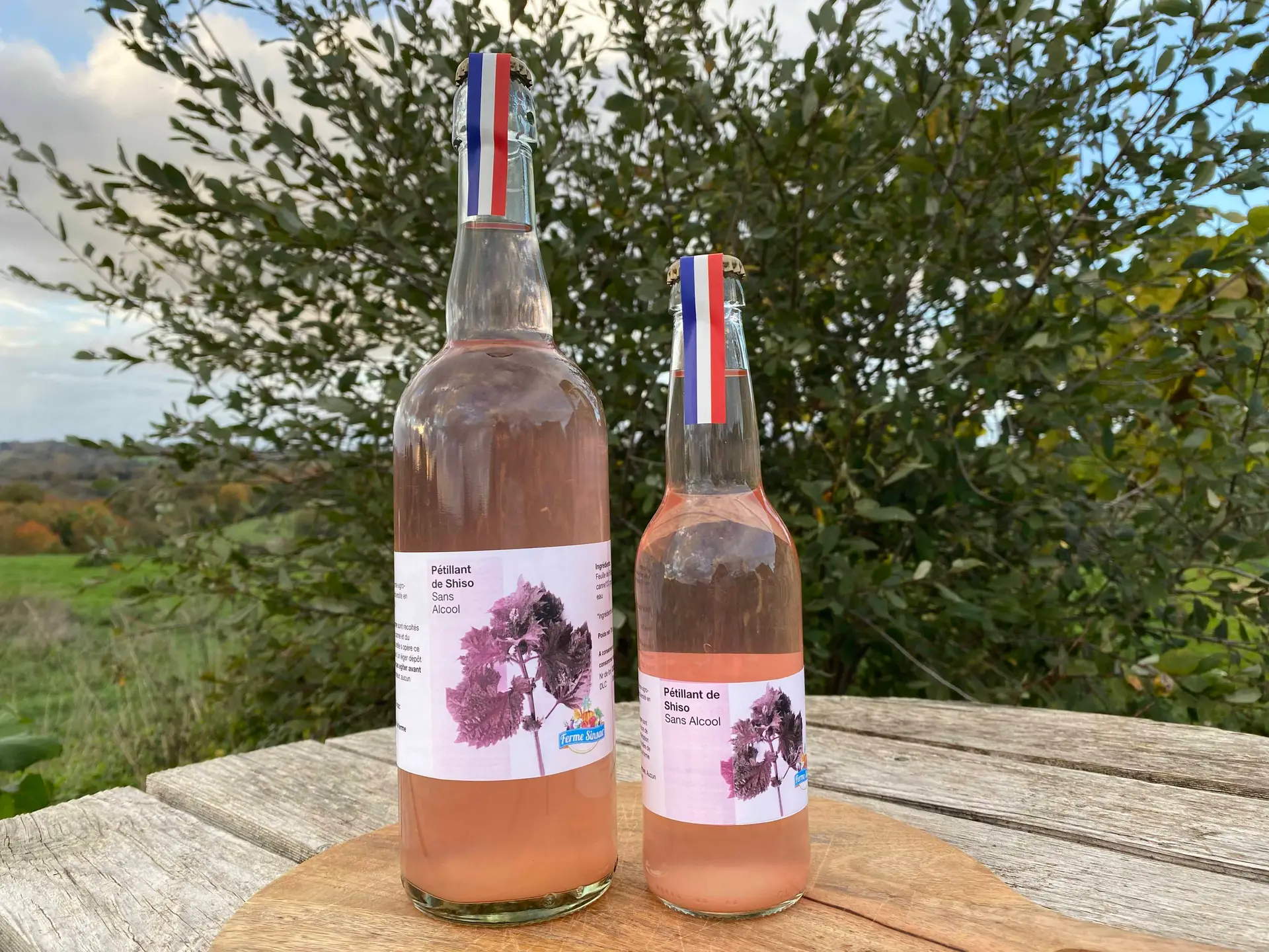 boisson pétillante de Shiso sans alcool fermentee naturelle maison gazeuze soda limonade