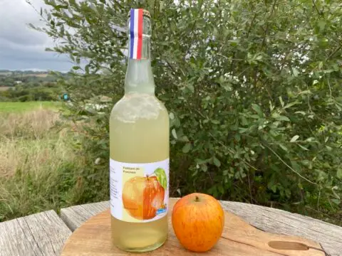 boisson petillante de pommes limonade maison fermentee gazeuze soda naturelle ferme sinsac