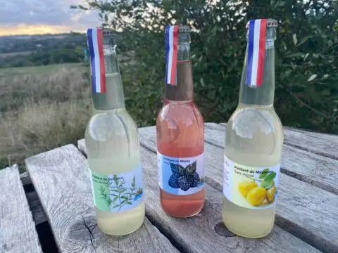 boisson pétillantes soda fermente gazeuze naturelle sans alcool maison limonade ferme