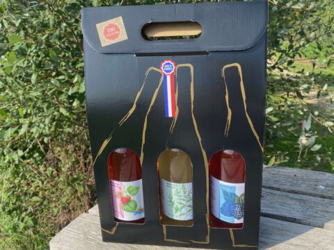 Boisson petillante fermentée naturelle fait maison sans alcool