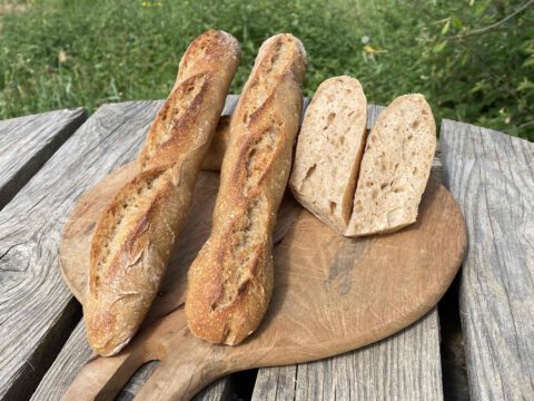 levain naturel baguette pain blé ancien