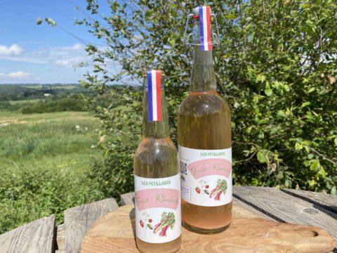 boissons petillante fraises du perigord et rhubarbe sans alcool soda fermenté artisanale