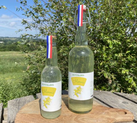 boisson petillante mimosa sans alcool fermentee naturelle maison limonade gazeuze soda