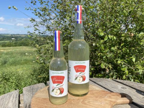 boissons naturelles sans alcool pommes