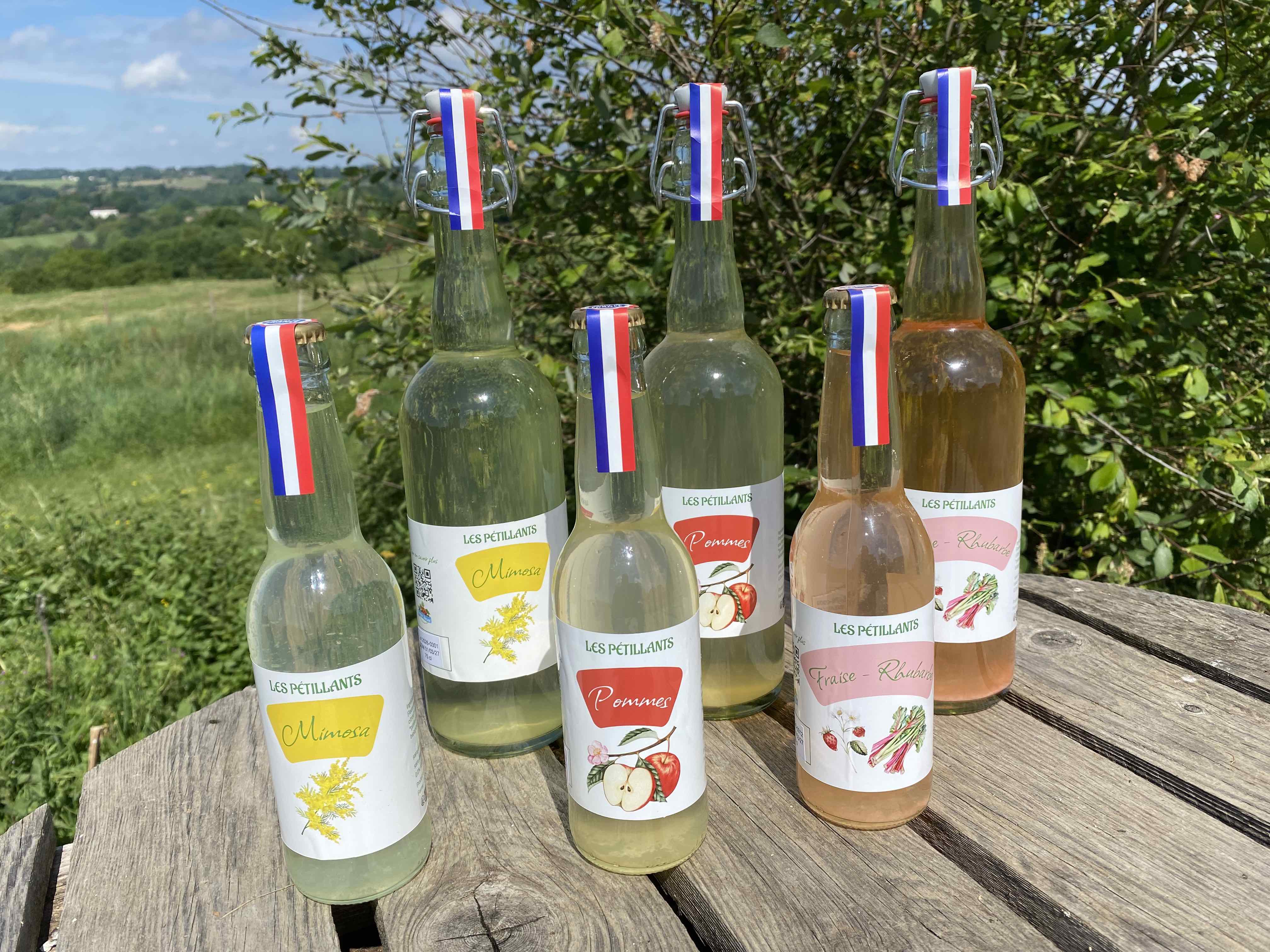 Notre gamme de pétillants naturels sans alcool
