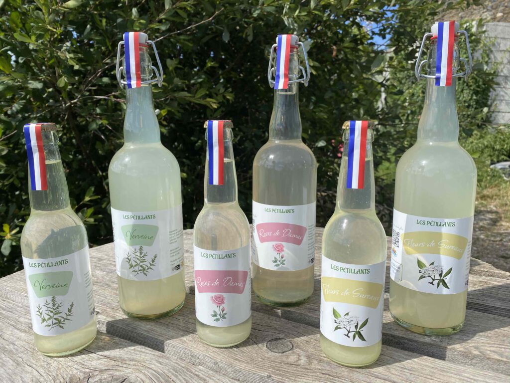 verveine fermente naturellement rose de damas en boisson rafraîchissante et soda naturel aux fleurs de sureaux