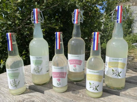 verveine fermente naturellement rose de damas en boisson rafraîchissante et soda naturel aux fleurs de sureaux