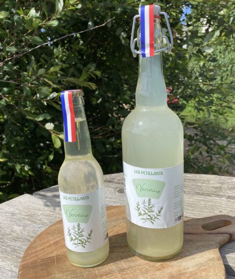 boisson gazeuse sans alcool verveine citronnée fermentation maison soda