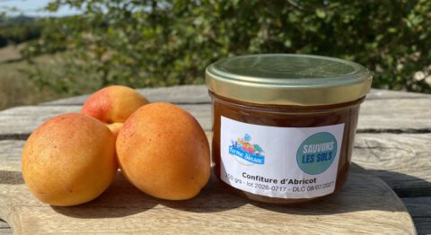 confiture maison allégé en sucre
