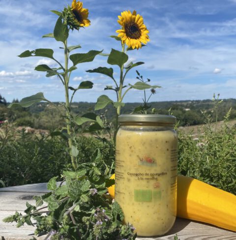 courgette menthe soupe froide