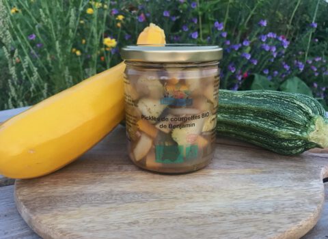 #courgette #bio #curry #lacto-fermenté